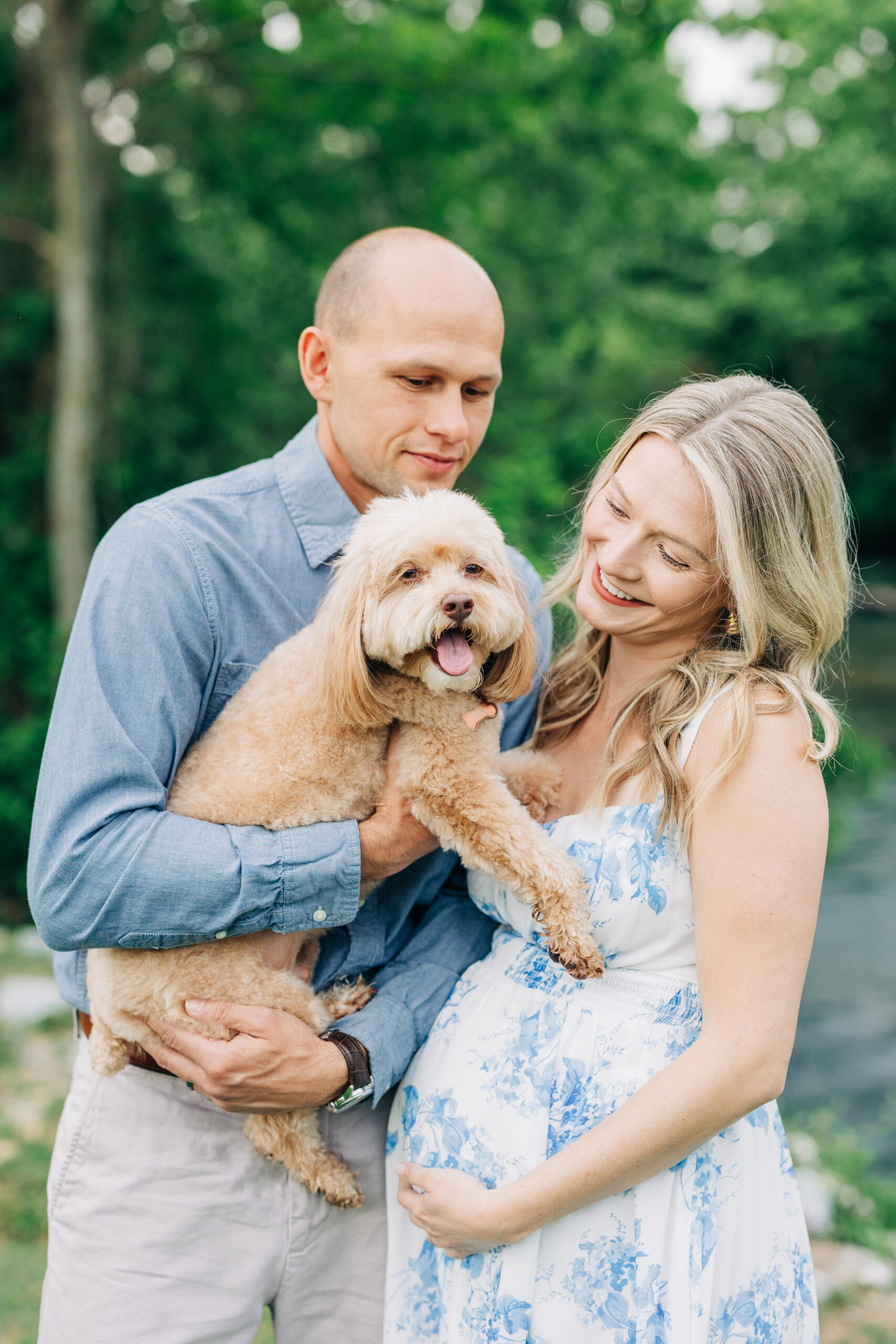 Maternity session with their dog in Columbia, SC