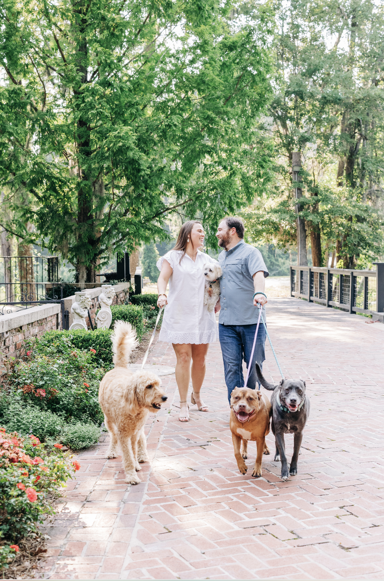 Engagement session at Adam's Pond with their dogs