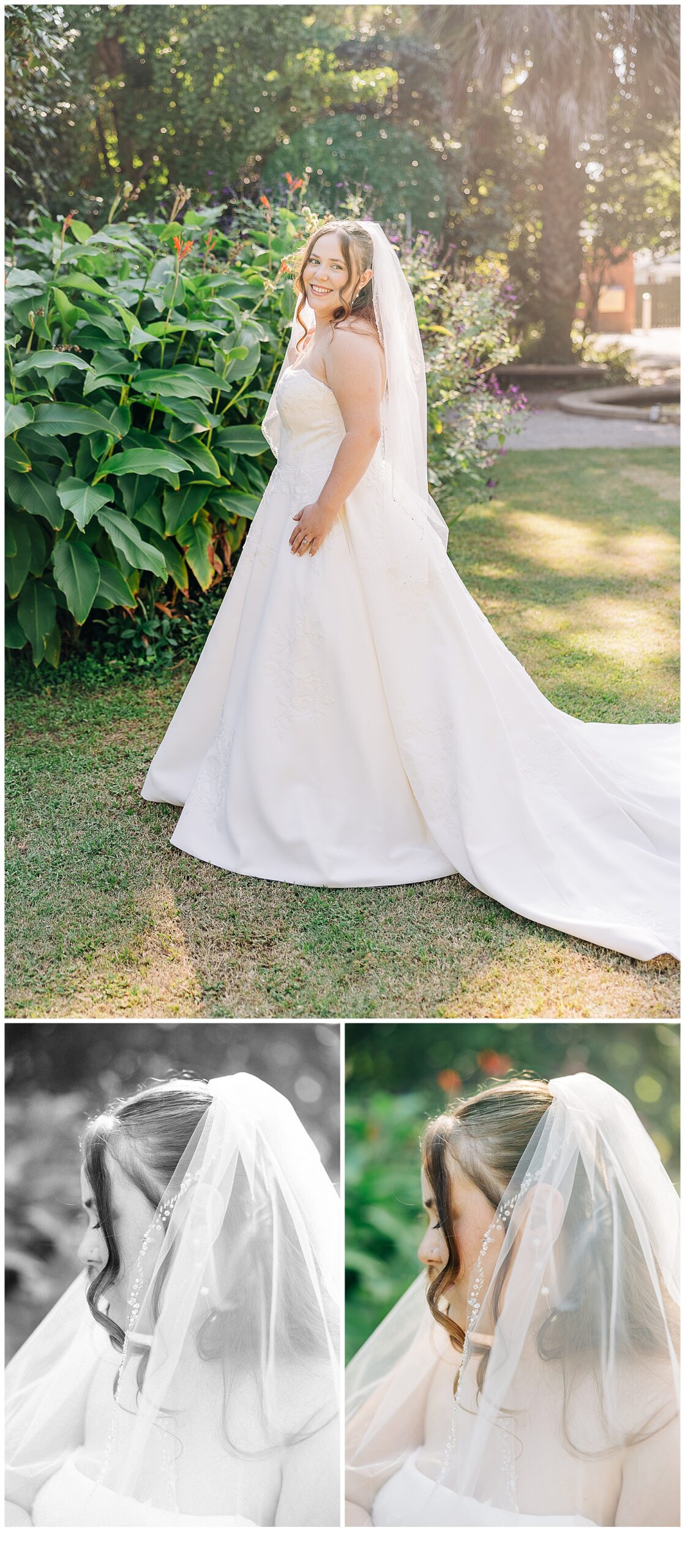 Brides vail close up