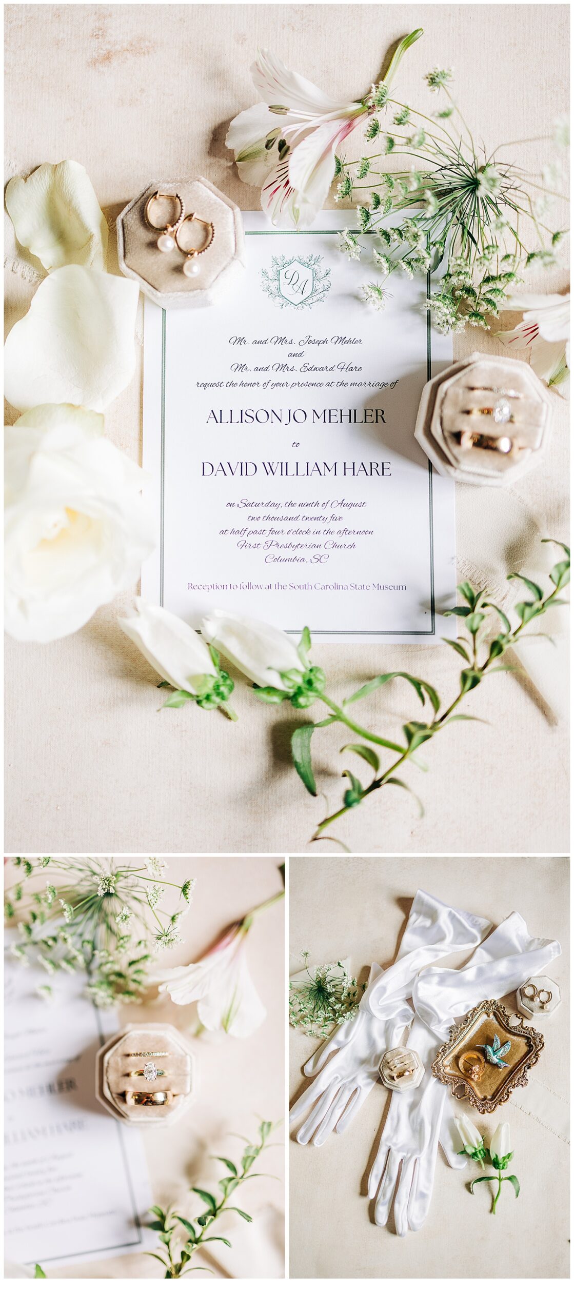 Beautiful picture of the invitation and rings
