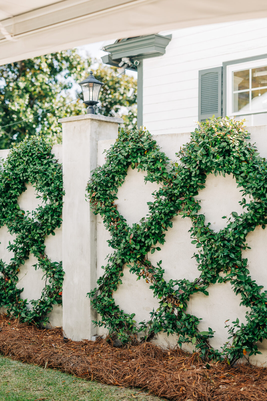 Exterior detail of the venue's concrete wall adorned with green vines creating a lattice pattern, with a light post and white siding visible above at the Hartley House Wedding South Carolina