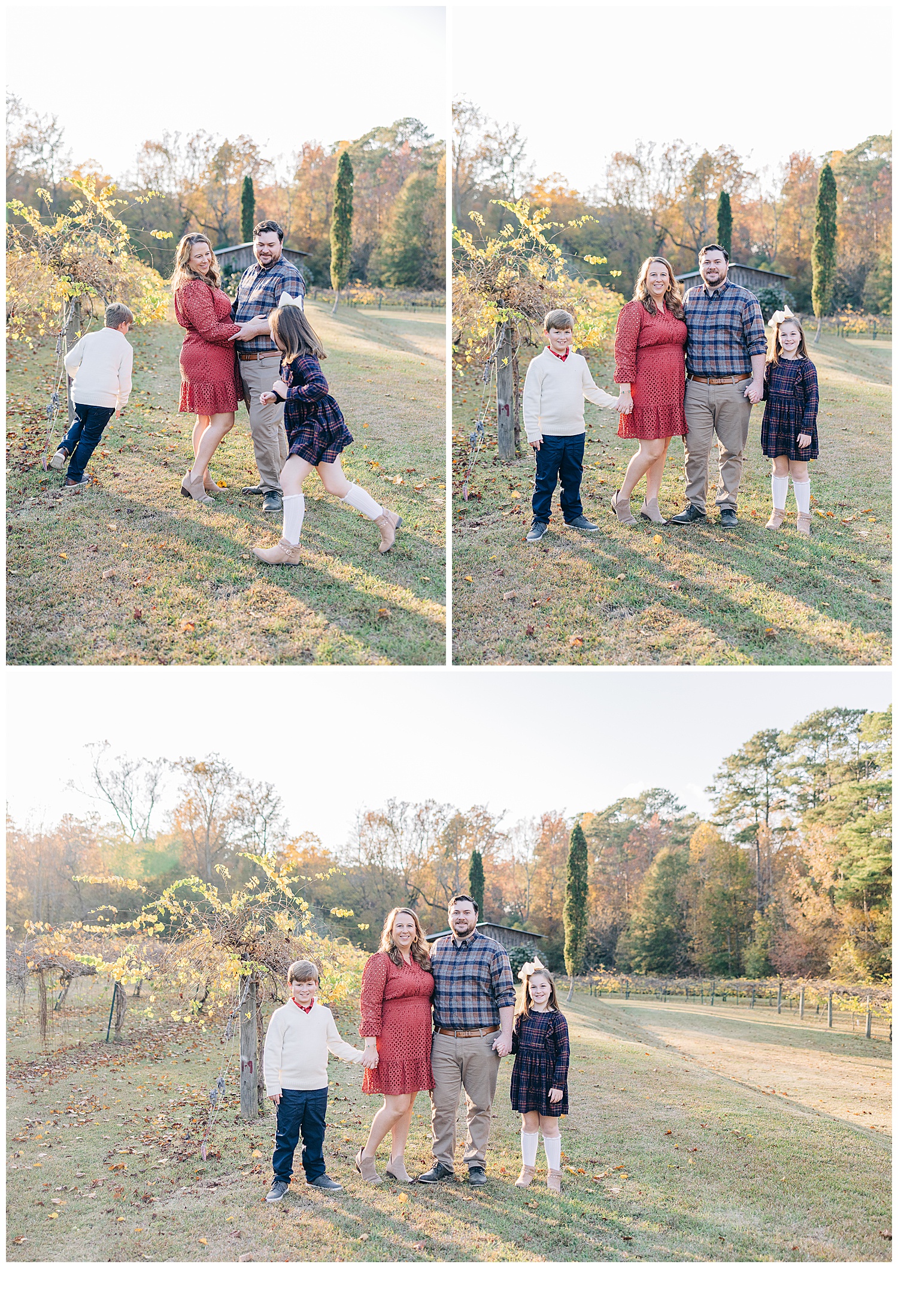  The Vines at Lexington , twins running around mom and dad