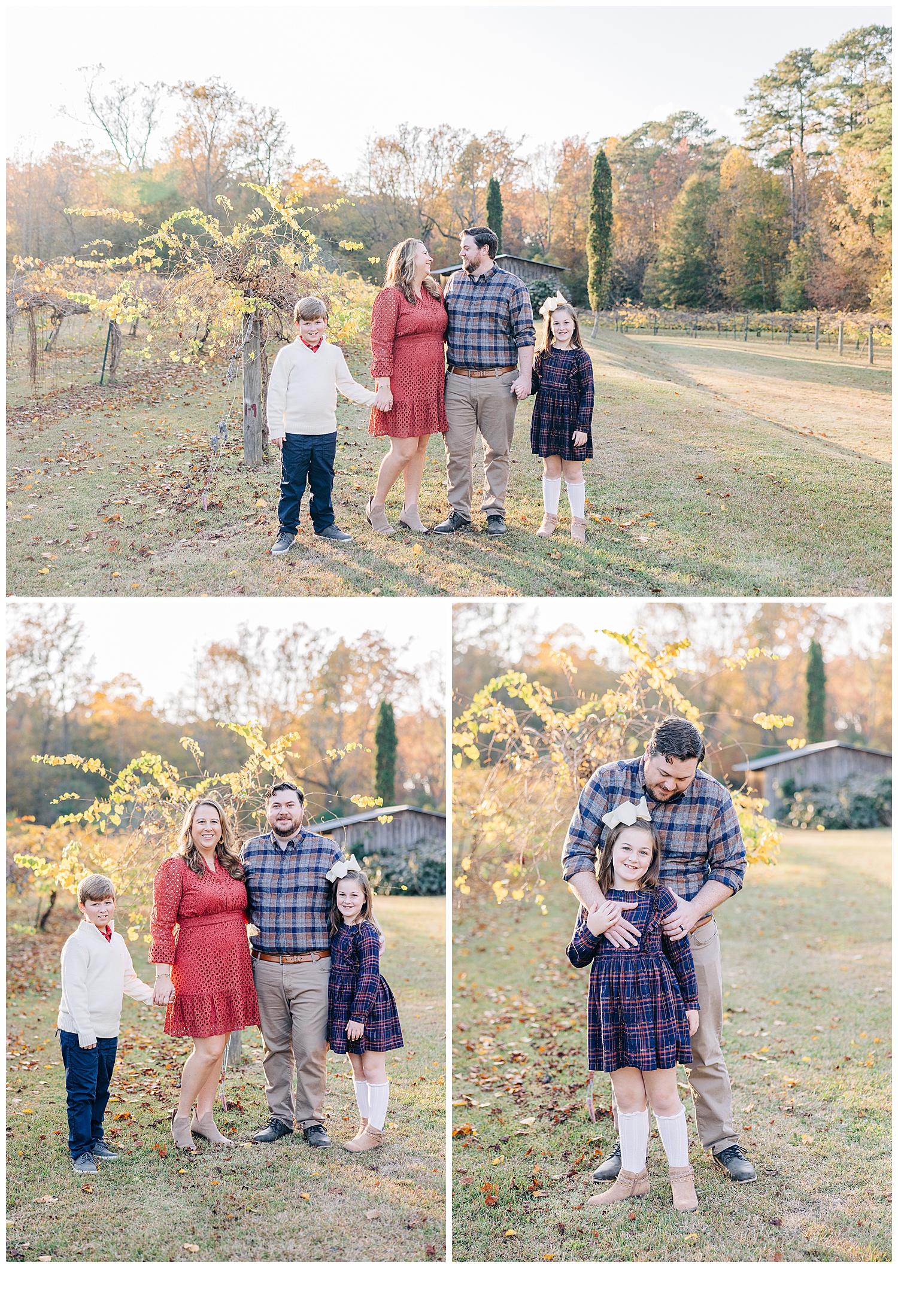  The Vines at Lexington family pictures with everyone, daughter and dad picture